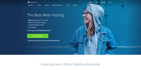 Bluehost Plus Hosting Price