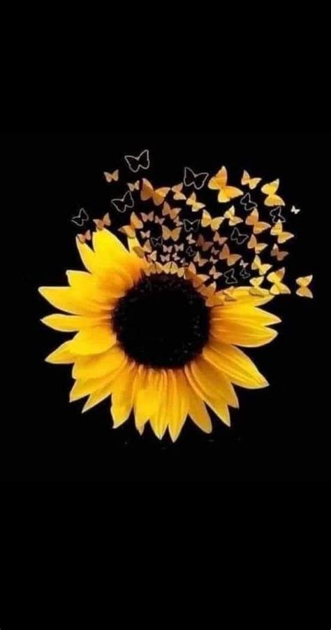 Pin on Sign wallpaper | Sunflower wallpaper, Sunflower art, Sunflower ...