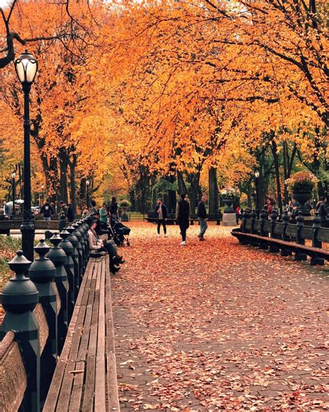 NYC Fall Photo Guide: New York Fall Bucket List | Through Kelsey's Lens