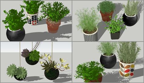 4947 Plants Sketchup Model Free Download - Sketchup Models For Free ...