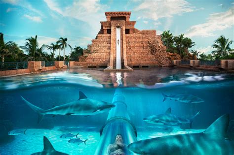 Aquaventure at Atlantis, Paradise Island | Bahamas Family Activities | vacation 16 | Pinterest ...