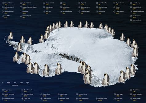 En Antarctique, un satellite compte un demi-million de manchots ...