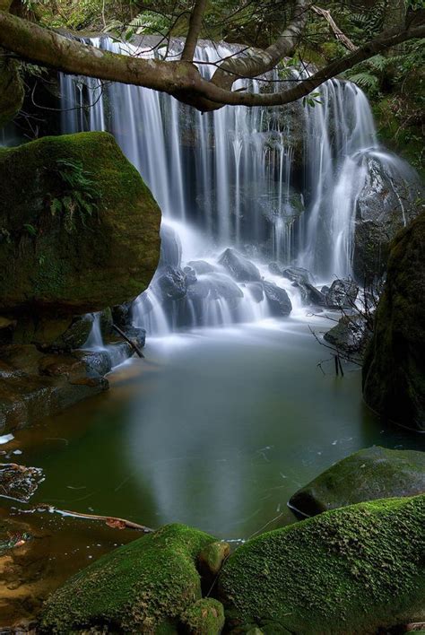 Leura Cascades in the Blue Mountains - Australia | Waterfall, Beautiful waterfalls, Beautiful nature