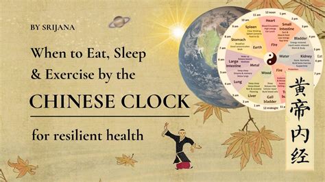 When to Eat, Sleep & Exercise by the CHINESE CLOCK