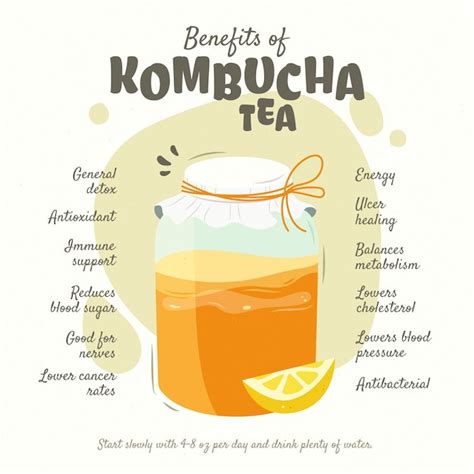 Free Vector | Kombucha tea benefits concept