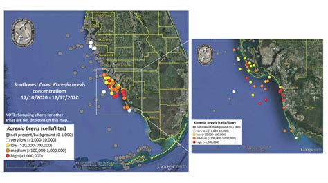 FWC reports return of red tide | Boca Beacon