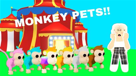 Monkey Pets in Adopt Me!! *NEW UPDATE* - YouTube