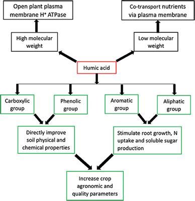 Frontiers | Understanding the Role of Humic Acids on Crop Performance and Soil Health