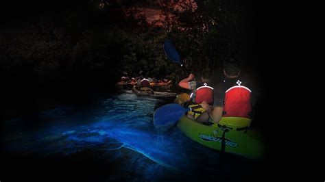 KayakingPuertoRico Bioluminescent kayaking 1 - 2 Travel Dads