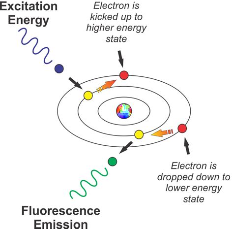 Science of Fluorescence and Fluorescent Light Photography