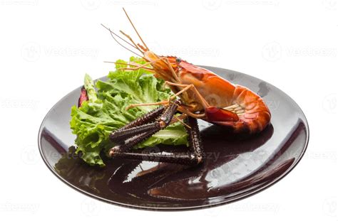 Giant Freshwater Prawn 11238253 Stock Photo at Vecteezy