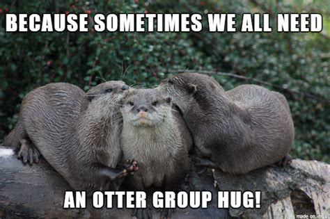 An otter group hug Otter Meme | Otters, Otter meme, Memes