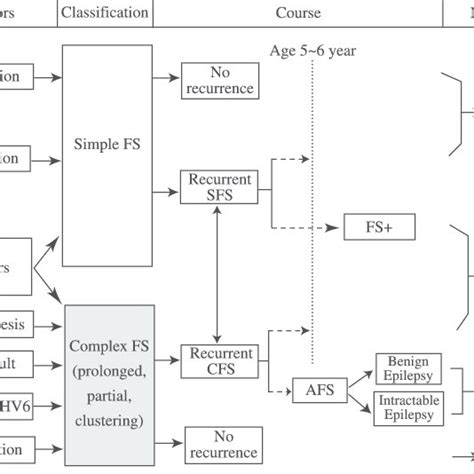 (PDF) Long-term neuroplasticity effects of febrile seizures in the ...