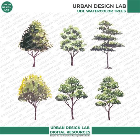 Watercolor Forest Trees | Urban Design Lab