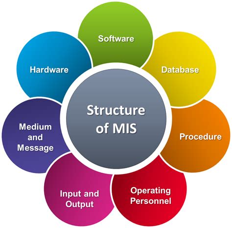 What is Management Information System - HarlysriMoyr