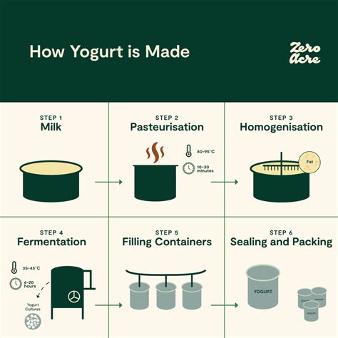 Fermentation 101: How Zero Acre oil is Made | Zero Acre Farms