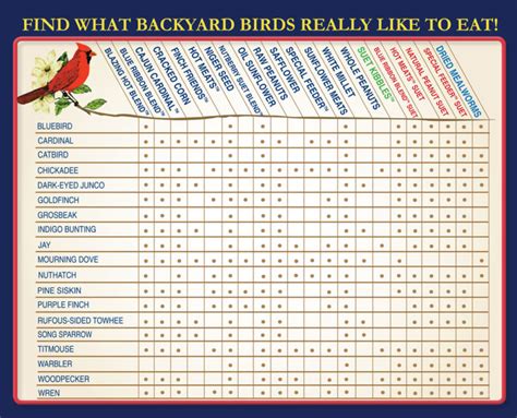 What Backyard Birds Really Like to Eat - Cole's Wild Bird Products