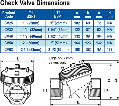 40mm Hansen Check Valve BSPT | Hansen Products (NZ)