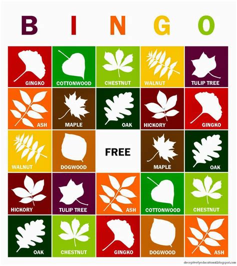 Leaf Hunt Books & Leaf Activities for Kids | Autumn leaves, Bingo ...