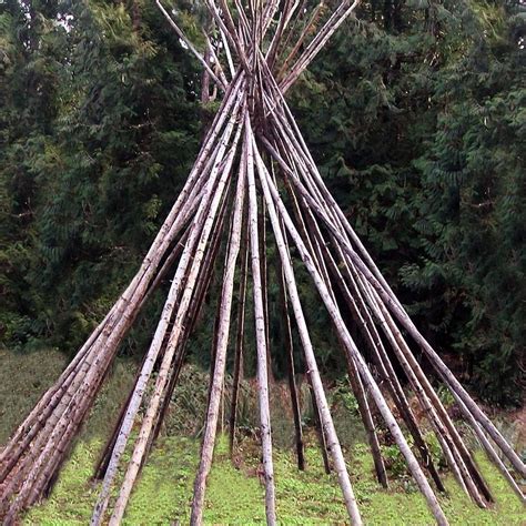 Check out the deal on Tipi Poles (Set of 17) at Crazy Crow Trading Post ...