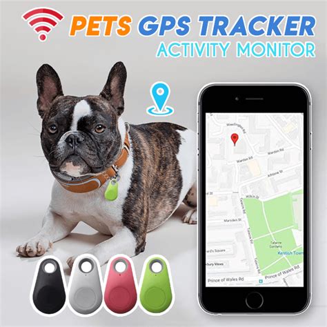 PETS GPS TRACKER & ACTIVITY MONITOR - ALWAYS KNOW WHERE YOUR PUP IS! | Pet gps, Pet tracker, Dog gps