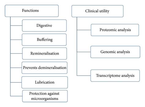 Functions and clinical utility of saliva. | Download Scientific Diagram