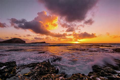 Makapu'u Point Sunrise #3 Photograph by Adam DeAnda - Fine Art America