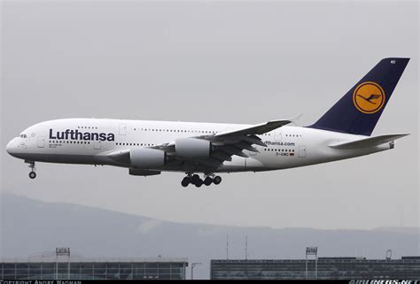 Airbus A380-841 - Lufthansa | Aviation Photo #1949504 | Airliners.net