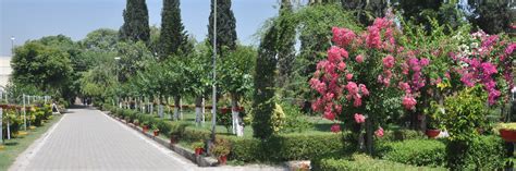 Virtual University Rawalpindi Campus. Campus no VRWP-01, Islamabad