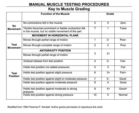 Manual Muscle Strength Testing Scale