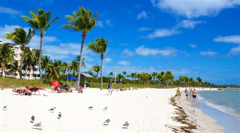 Smathers Beach in Key West - Tours and Activities | Expedia