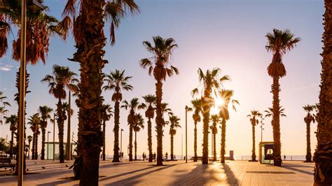 17 Best Beaches in Barcelona | Condé Nast Traveler