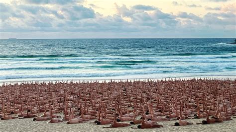 Bondi Beach goes nude as thousands strip off for Spencer Tunick art project - ABC News