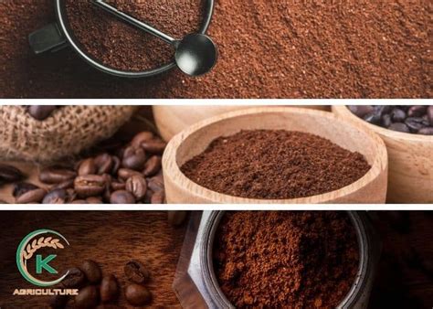 Top Worldwide Coffee Powder Brands You Should Try | K-Agriculture