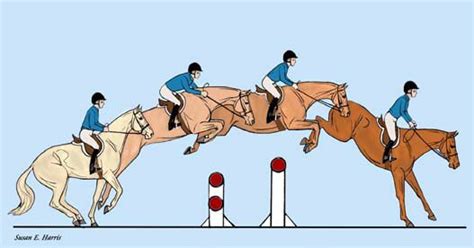 Body positioning and biomechanics over a jump. | Centered riding ...