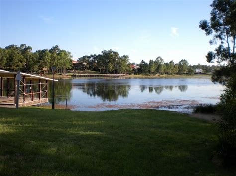 Forest Lake guide, moving to Brisbane | Homely.com.au