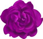 Roses PNG | Gallery Yopriceville - High-Quality Free Images and Transparent PNG Clipart