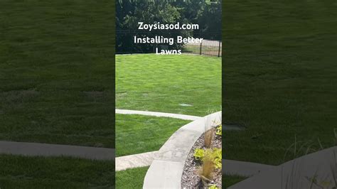 You Deserve The Best Lawn. See What Zeon Zoysia Looks Like Zoysia Lawn ...