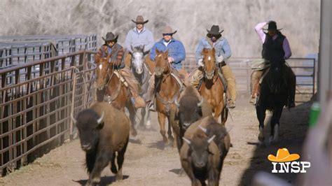 INSP’s ‘Ultimate Cowboy Showdown’ Rustles Up Fourth-Season Renewal ...