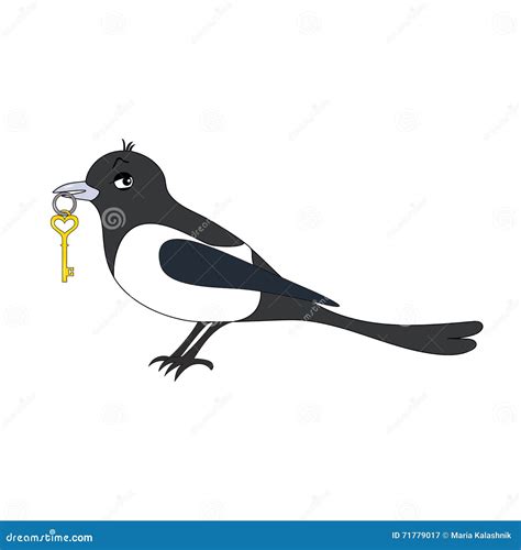 Magpie Stock Vector - Image: 71779017