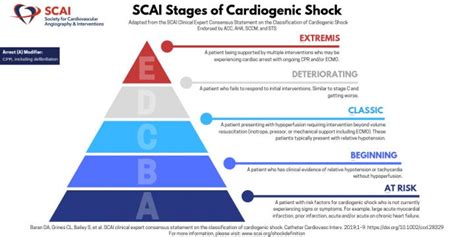 SCAI Stages of Cardiogenic Sho [IMAGE] | EurekAlert! Science News Releases