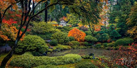 Tranquility | Portland Japanese Garden | Mickey Shannon Photography