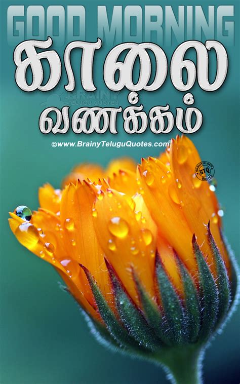 Tamil Language Kalai Vanakkam Good Morning Images In Tamil - Animaltree