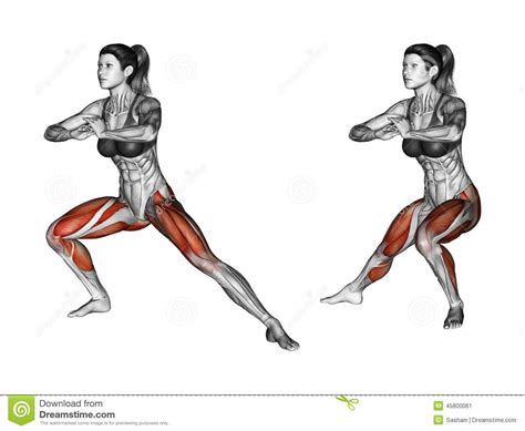 Fitness Anatomy for Side Lunges | Best body weight exercises, Physical fitness, Easy workouts