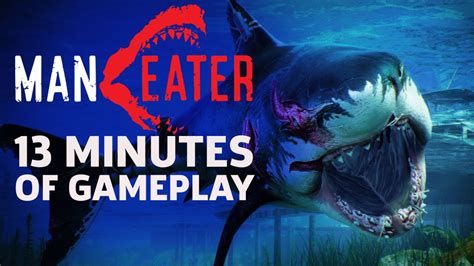 First 13 Minutes Of Maneater Gameplay - YouTube