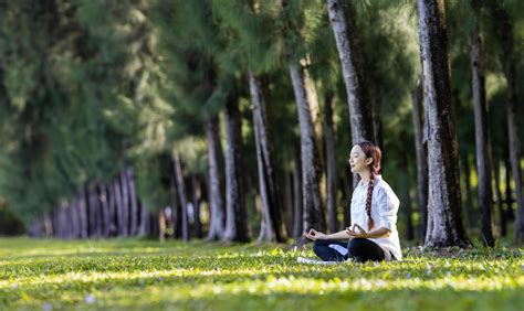 Panorama of woman relaxingly practicing meditation in the pine forest to attain happiness from ...