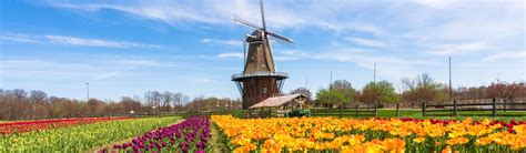 Tulip Gardens In Holland Michigan | Fasci Garden