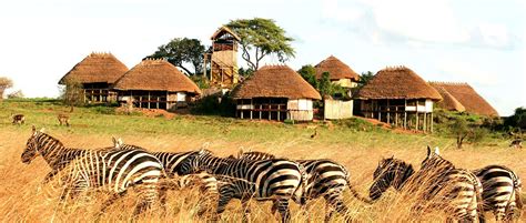 The Full List of Uganda National Parks (Best 2023 Parks)