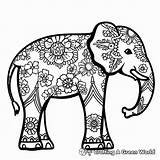 Tribal Elephant Coloring Pages  Free & Printable sketch template