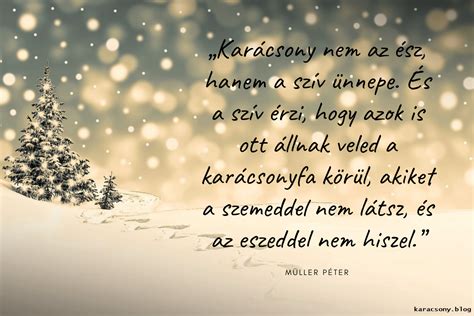 Müller Péter karácsonyi idézet | Christmas time, Husi, Christmas and ...